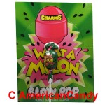 Charms Blow Pop What A Melon Lollipop